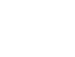 Logo de PPG